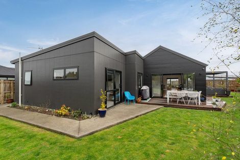 Photo of property in 58 Tuatahi Avenue, Solway, Masterton, 5810