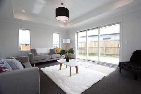 Photo of property in 21 Payne Court, Lincoln, 7608