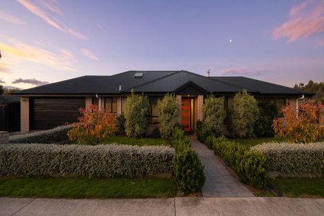 Photo of property in 42 Grigg Drive, Witherlea, Blenheim, 7201
