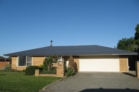 Photo of property in 23 Boyce Street, Renwick, 7204