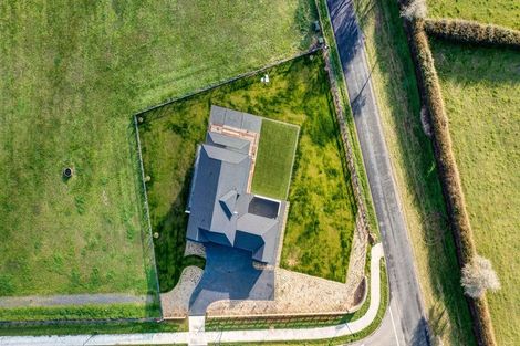 Photo of property in 4 Sunline Drive, Leamington, Cambridge, 3432