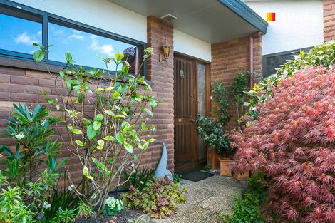 Photo of property in 23c Sheen Street, Roslyn, Dunedin, 9010
