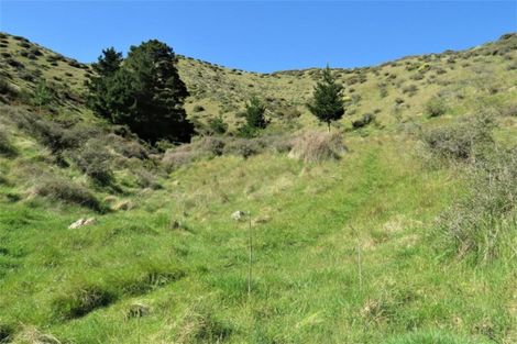 Photo of property in 594 Hurunui Bluff Road, Hurunui, Hawarden, 7385