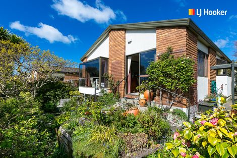 Photo of property in 23c Sheen Street, Roslyn, Dunedin, 9010