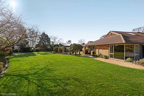 Photo of property in 234 Giles Road, Kaiapoi, 7692