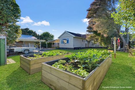 Photo of property in 196 King Street, Whakatane, 3120