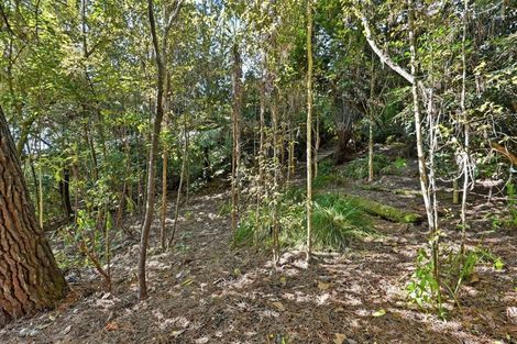 Photo of property in 1/11 Saddleback Rise, Murrays Bay, Auckland, 0630