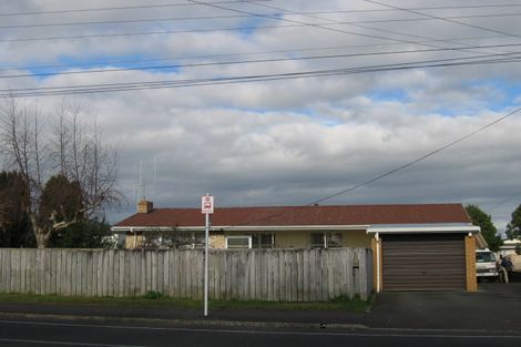 Photo of property in 133 Ellicott Road, Nawton, Hamilton, 3200