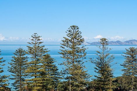 Photo of property in 16 Brewster Street, Bluff Hill, Napier, 4110