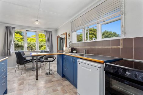 Photo of property in 51 Hardie Avenue, Kawerau, 3127