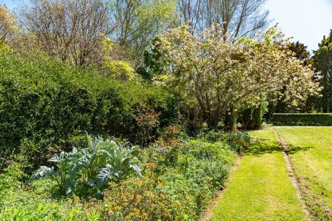 Photo of property in 213 Te Whiti Road, Homebush, Masterton, 5885