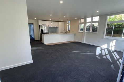 Photo of property in 19 Falkland Street, Maori Hill, Dunedin, 9010