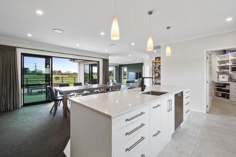 Photo of property in 170 Shirriffs Road, Awapuni, Palmerston North, 4412