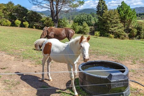Photo of property in 896a Hikuai Settlement Road, Pauanui, Hikuai, 3579