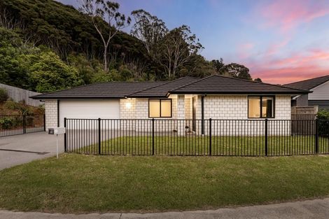 Photo of property in 46 Martingale Drive, Whitby, Porirua, 5024
