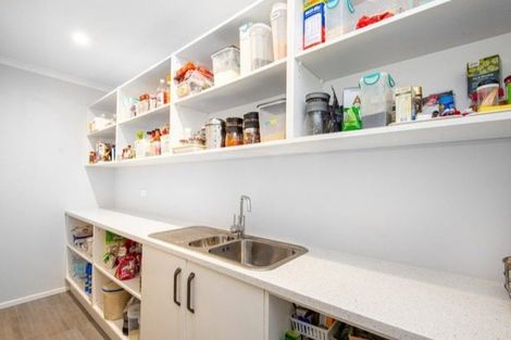 Photo of property in 81 John Burke Drive, Aotea, Porirua, 5024