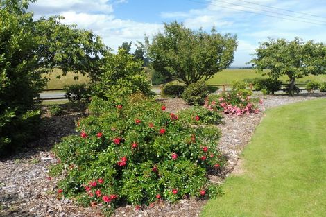 Photo of property in 113 Downs Road, Geraldine, 7991