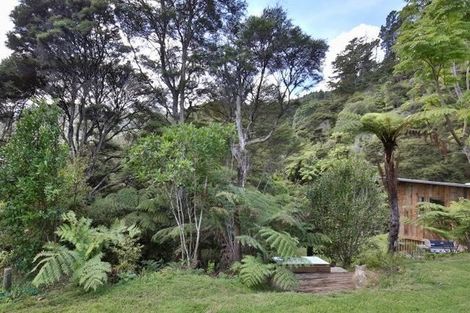 Photo of property in 850 Buffalo Road, Coromandel, 3506