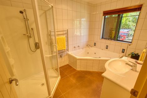 Photo of property in 164-180 Maori Creek Road, Marsden, Greymouth, 7872