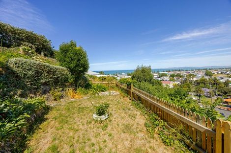 Photo of property in 42 Cameron Road, Bluff Hill, Napier, 4110