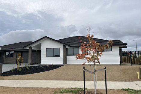 Photo of property in 31 Siren Street, Wainui, 0932