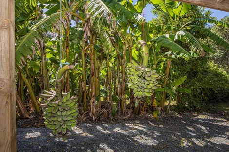 Photo of property in 105 Paranui Valley Road, Tikipunga, Whangarei, 0112