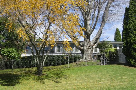 Photo of property in 44 Fourteenth Avenue, Tauranga South, Tauranga, 3112