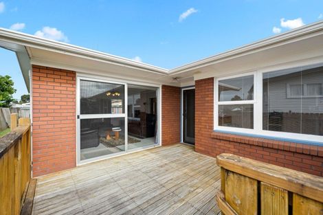 Photo of property in 8 Patrick Place, Fitzroy, Hamilton, 3206