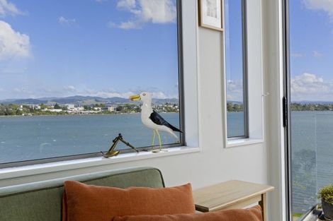 Photo of property in 25 Roderick Street, Otumoetai, Tauranga, 3110