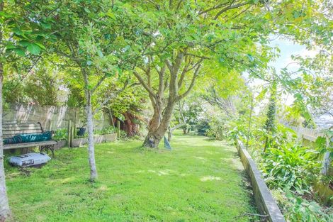 Photo of property in 46 Walker Street, Bluff, 9814