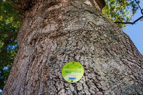 Photo of property in 10 Pastoral Lane, Hokowhitu, Palmerston North, 4410