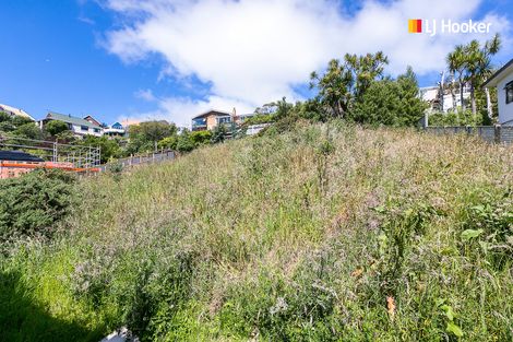 Photo of property in 1 Lauriston Street, Andersons Bay, Dunedin, 9013