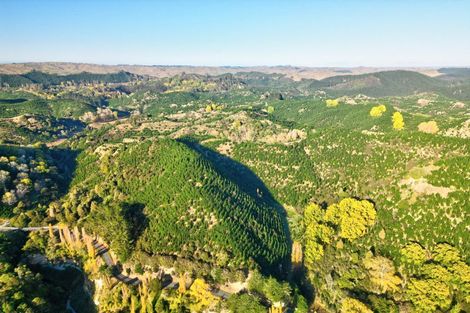 Photo of property in 751 Ongo Road, Hunterville, 4782