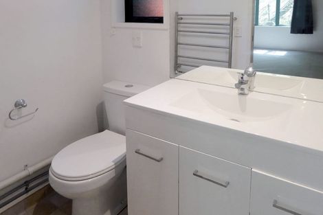 Photo of property in 1 Mortimer Terrace, Aro Valley, Wellington, 6021