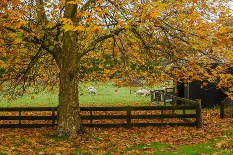 Photo of property in 81259 State Highway 2, Mangatainoka, Pahiatua, 4982