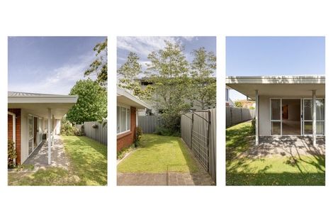 Photo of property in 27a Kulim Avenue, Otumoetai, Tauranga, 3110