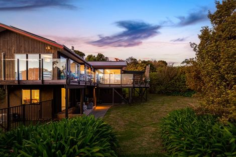 Photo of property in 163 West Harbour Drive, West Harbour, Auckland, 0618