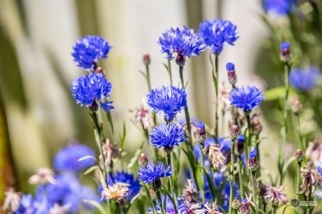 Photo of property in 2/2 Haig Street, Waterloo, Lower Hutt, 5011