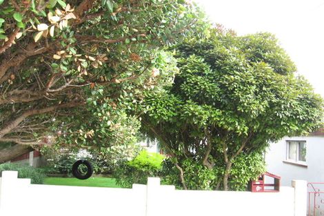 Photo of property in 25 Ira Street, Miramar, Wellington, 6022