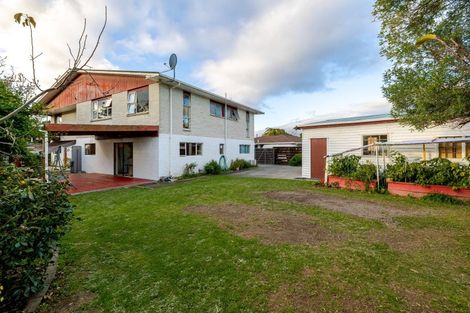 Photo of property in 17 Lane Place, Awapuni, Palmerston North, 4412