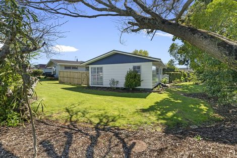Photo of property in 4 Lindale Street, Morrinsville, 3300