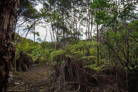 Photo of property in 980 Buffalo Road, Coromandel, 3506