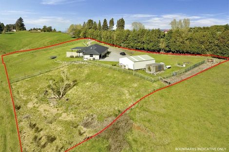 Photo of property in 1160 No 2 Road, Te Ranga, Te Puke, 3182