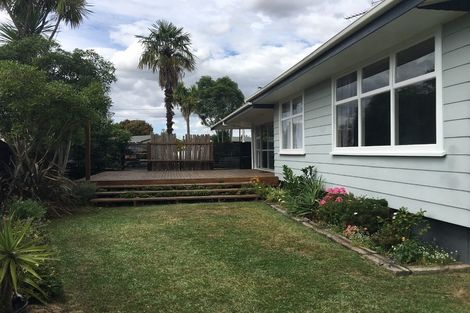 Photo of property in 49 Fitzroy Avenue, Fitzroy, Hamilton, 3206