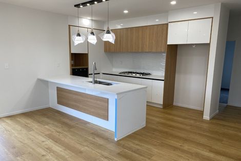 Photo of property in 21 Hemopo Street, Pukekohe, 2120