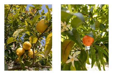 Photo of property in 6 Poike Road, Hairini, Tauranga, 3112