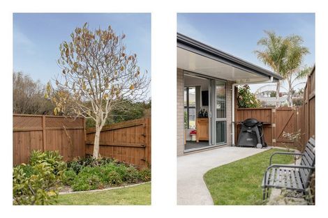 Photo of property in 56 Fairfax Crescent, Pyes Pa, Tauranga, 3112