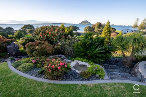 Photo of property in 151 Ngatai Road, Otumoetai, Tauranga, 3110