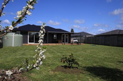 Photo of property in 13 Penelope Place, Pongakawa, Te Puke, 3186