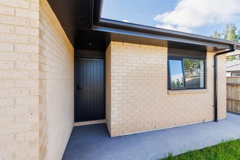 Photo of property in 53 Hereford Street, Marton, 4710